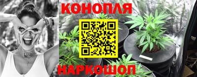 эйфоретик Дубна