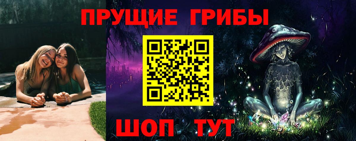 купить наркоту  Псилоцибиновые грибы MAGIC MUSHROOMS  Псилоцибиновые грибы Magic Shrooms  Вход с VPN  Назарово 