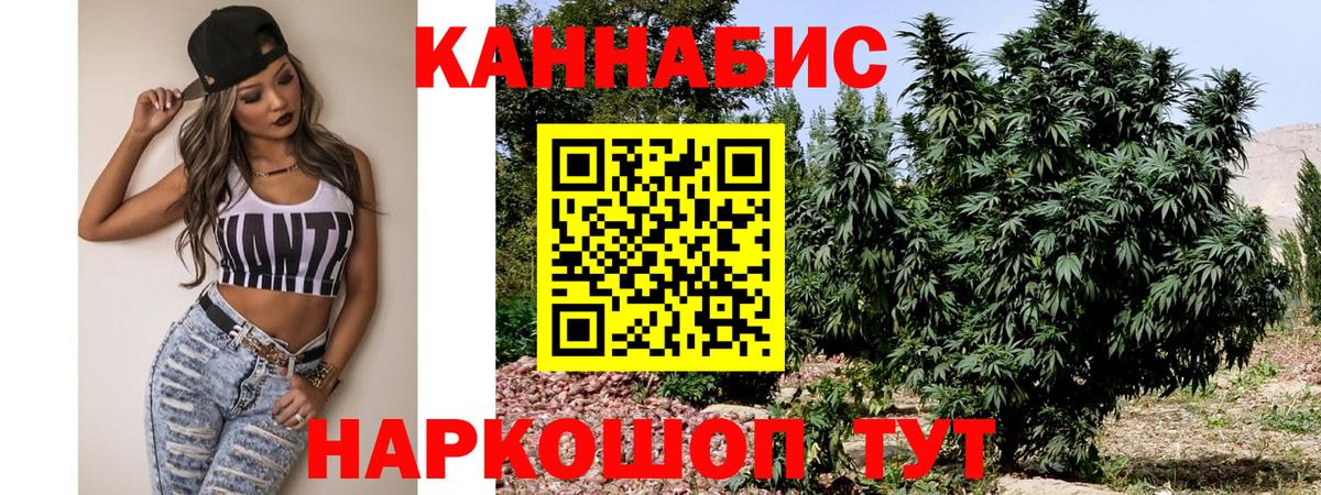 Канабис OG Kush Назарово